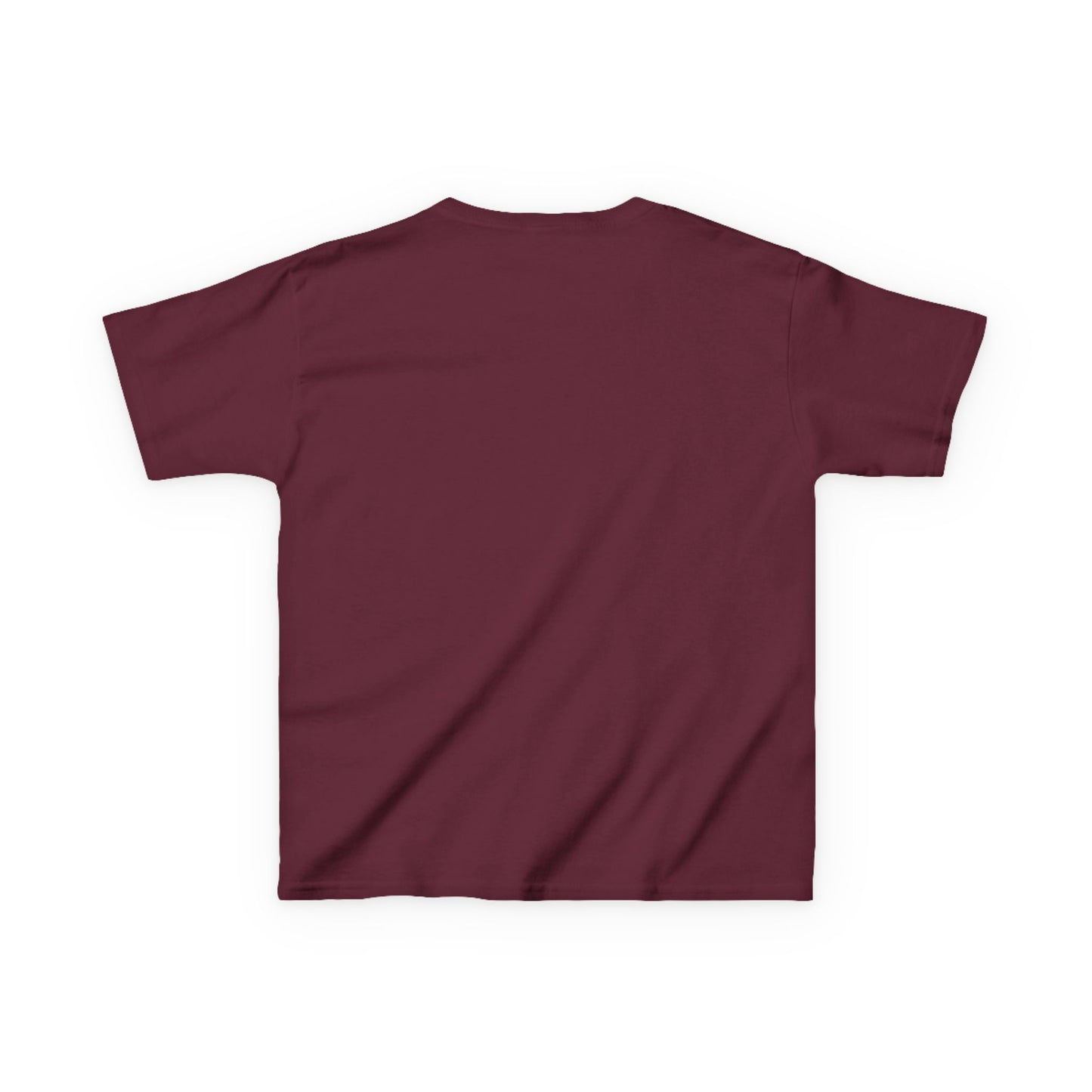 Wylieville: Raideress Hawk Graphic Tee - Fear the Fight | Fun & Adventurous Shirt