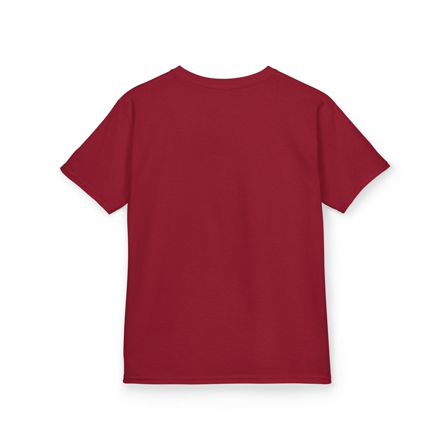 Wylieville: Raideress Hawk Graphic Tee - Fear the Fight | Fun & Adventurous Shirt