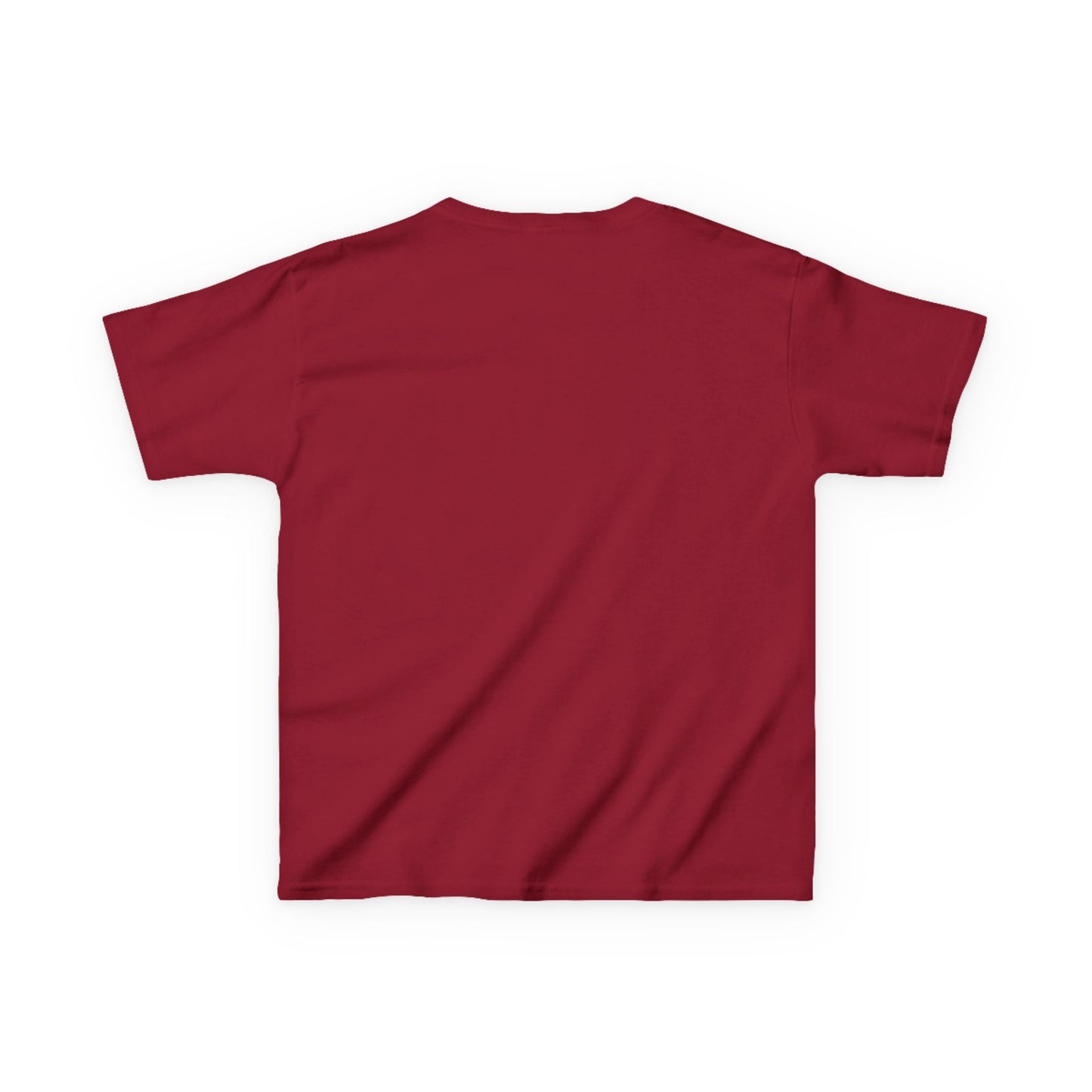Wylieville: Raideress Hawk Graphic Tee - Fear the Fight | Fun & Adventurous Shirt